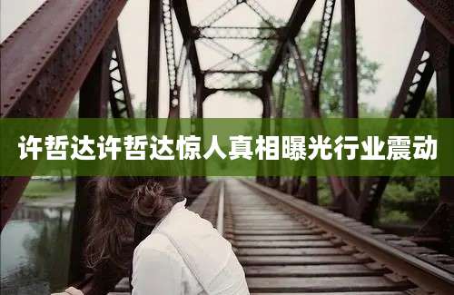 许哲达许哲达惊人真相曝光行业震动