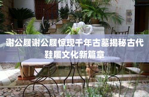 谢公屐谢公屐惊现千年古墓揭秘古代鞋履文化新篇章