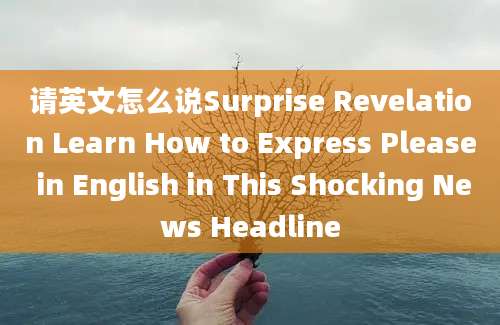 请英文怎么说Surprise Revelation Learn How to Express Please in English in This Shocking News Headline