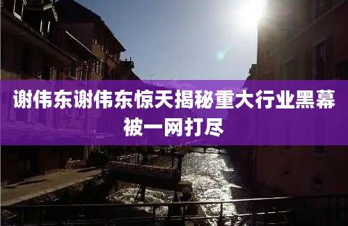 谢伟东谢伟东惊天揭秘重大行业黑幕被一网打尽