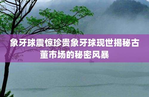 象牙球震惊珍贵象牙球现世揭秘古董市场的秘密风暴