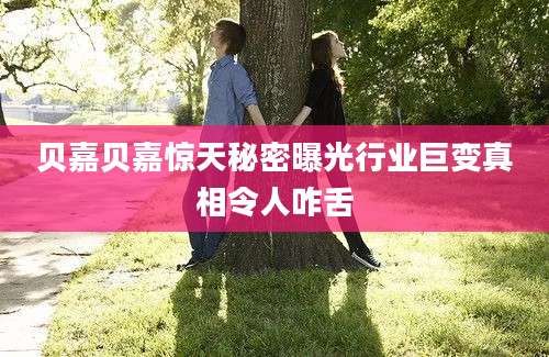 贝嘉贝嘉惊天秘密曝光行业巨变真相令人咋舌