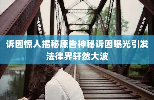 诉因惊人揭秘原告神秘诉因曝光引发法律界轩然大波