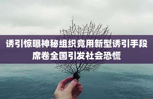 诱引惊曝神秘组织竟用新型诱引手段席卷全国引发社会恐慌