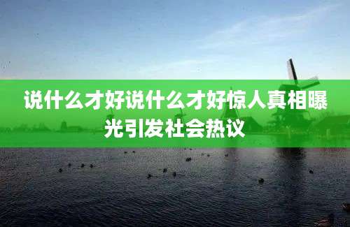 说什么才好说什么才好惊人真相曝光引发社会热议