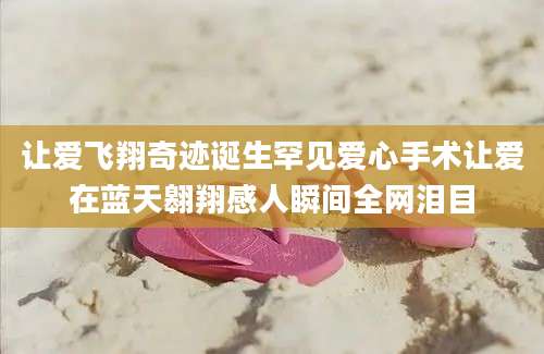 让爱飞翔奇迹诞生罕见爱心手术让爱在蓝天翱翔感人瞬间全网泪目