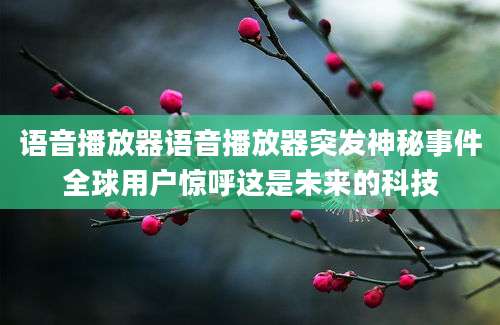 语音播放器语音播放器突发神秘事件全球用户惊呼这是未来的科技