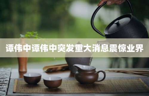 谭伟中谭伟中突发重大消息震惊业界
