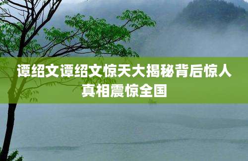 谭绍文谭绍文惊天大揭秘背后惊人真相震惊全国