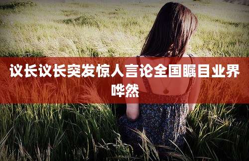 议长议长突发惊人言论全国瞩目业界哗然