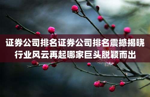 证券公司排名证券公司排名震撼揭晓行业风云再起哪家巨头脱颖而出