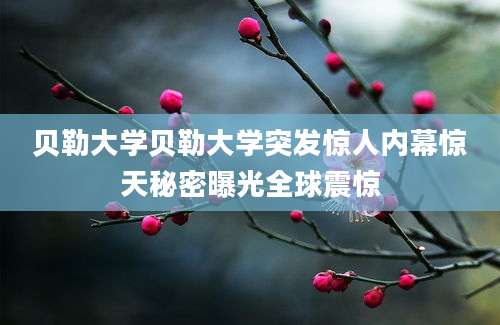 贝勒大学贝勒大学突发惊人内幕惊天秘密曝光全球震惊